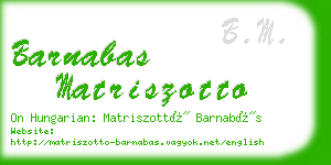 barnabas matriszotto business card